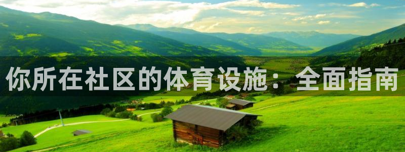 意昂3新能源：你所在社区的体育设施：全面指南