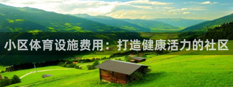 意昂3开户：小区体育设施费用：打造健康活力的社区