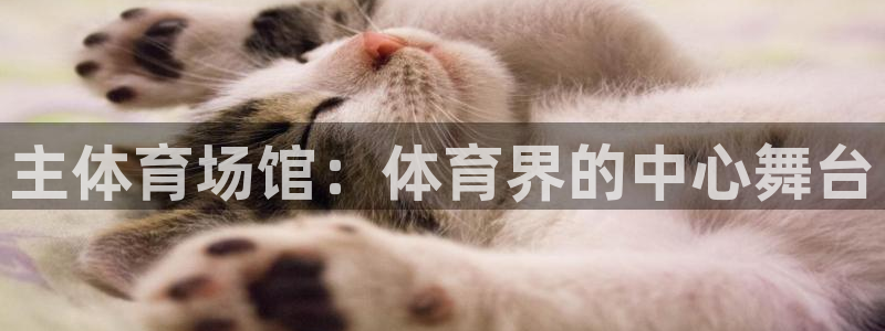 意昂3娱乐平台：主体育场馆：体育界的中心舞台