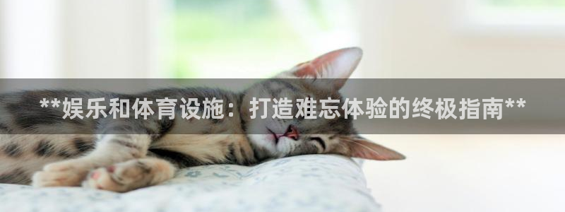 意昂体育3招商电话号码查询：**娱乐和体育设施：打造