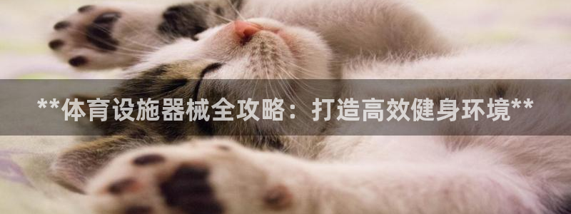 意昂3娱乐网站：**体育设施器械全攻略：打造高效健身