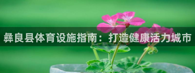 意昂3娱乐首页官网下载