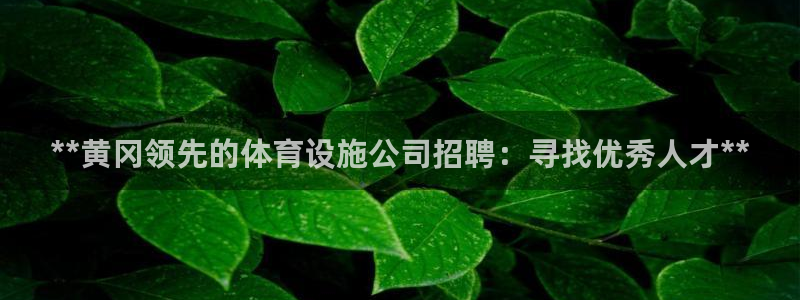 意昂体育3联系电话：**黄冈领先的体育设施公司招聘：