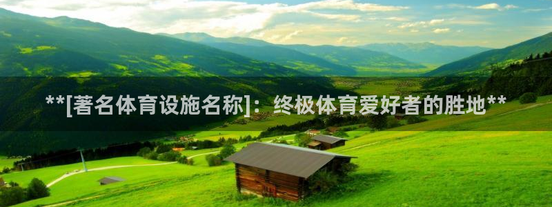 意昂3娱乐平台：**[著名体育设施名称]：终极体育爱