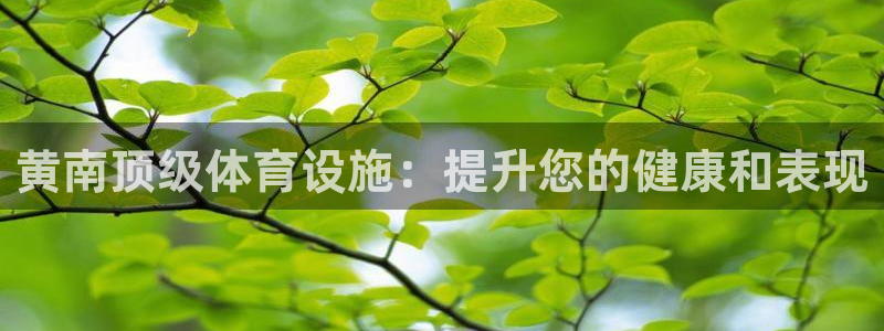 意昂体育3招商电话号码：黄南顶级体育设施：提升您的健