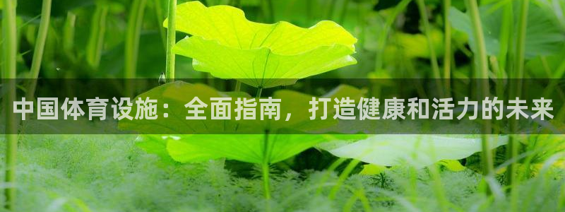 意昂体育3平台是正规平台吗安全吗：中国体育设施：全面