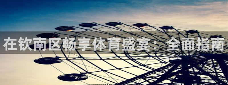 意昂体育3娱乐：在钦南区畅享体育盛宴：全面指南
