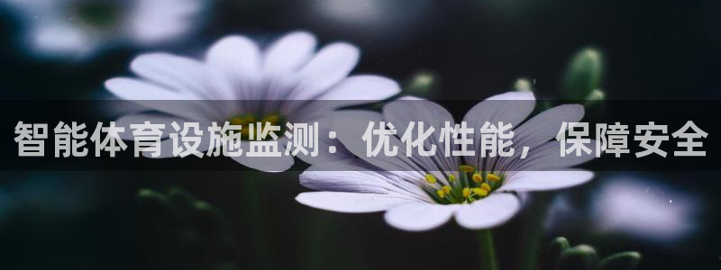 意昂体育3招商电话号码查询是多少：智能体育设施监测：