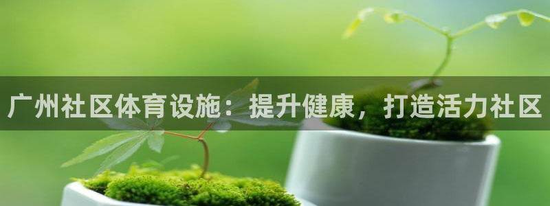 意昂体育3平台APP：广州社区体育设施：提升健康，打