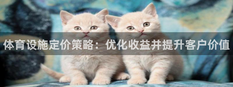 意昂3集团：体育设施定价策略：优化收益并提升客户价值