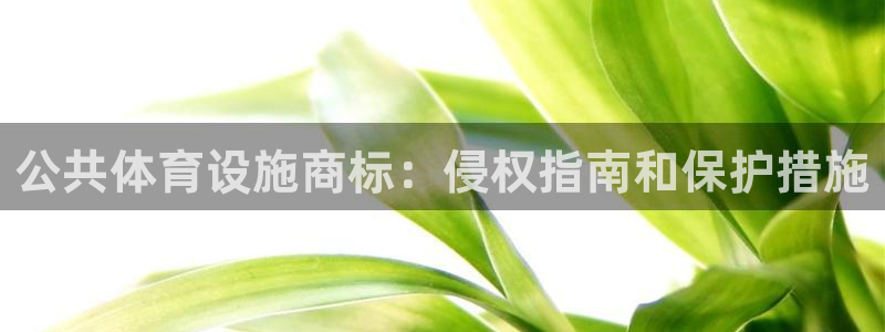 意昂3集团官网首页网址：公共体育设施商标：侵权指南和保护措施