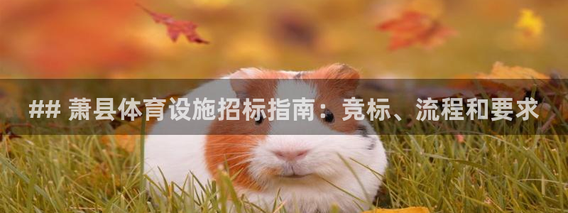 意昂体育3招商电话号码是多少号：## 萧县体育设施招标指南：