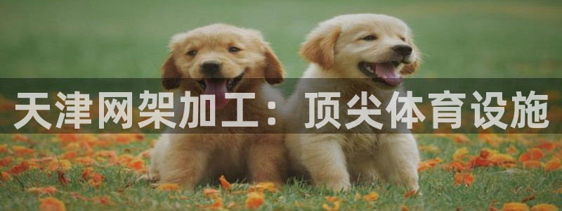 意昂体育3开户：天津网架加工：顶尖体育设施