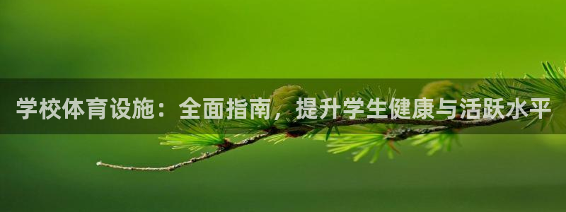 意昂3神州：学校体育设施：全面指南，提升学生健康与活