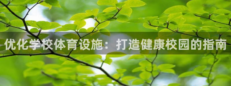 注册意昂3：优化学校体育设施：打造健康校园的指南