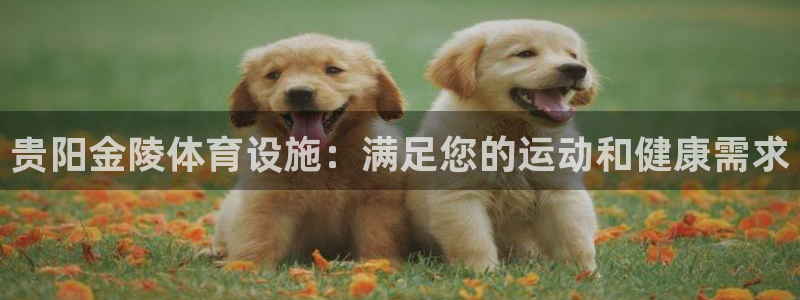 意昂体育3招商电话号码是多少啊：贵阳金陵体育设施：满足您的运 