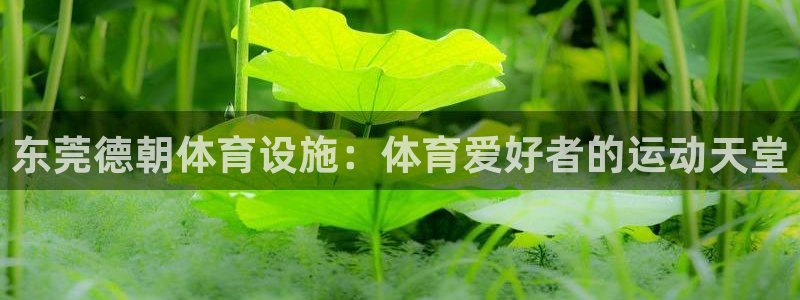 意昂体育3平台是正规平台吗：东莞德朝体育设施：体育爱好者的运 