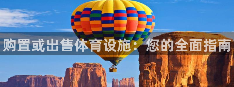 意昂3娱乐是那个系列的台子：购置或出售体育设施：您的全面指南