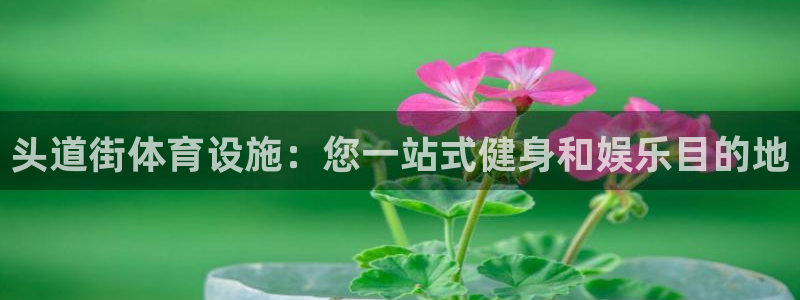 意昂体育3招商电话号码：头道街体育设施：您一站式健身和娱乐目