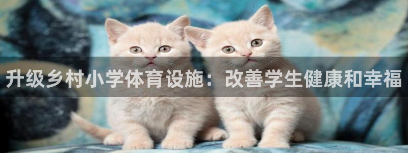 意昂体育3平台假的吗是真的吗：升级乡村小学体育设施：改善学生