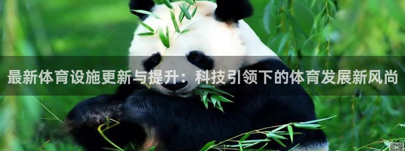 意昂3娱乐代理怎么样