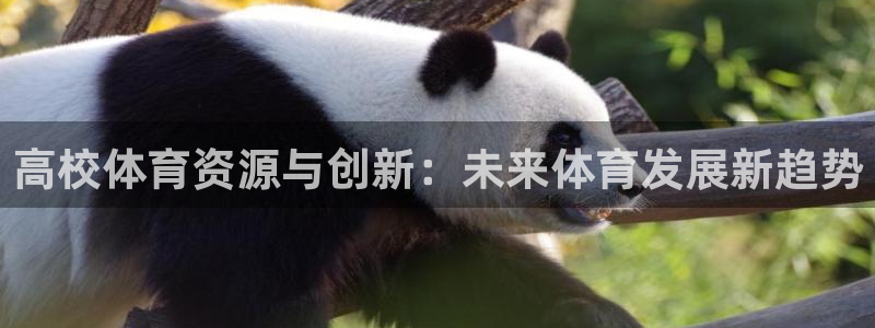 意昂体育3招商电话号码是多少号