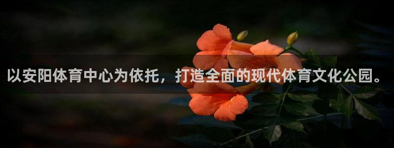 意昂体育3软件