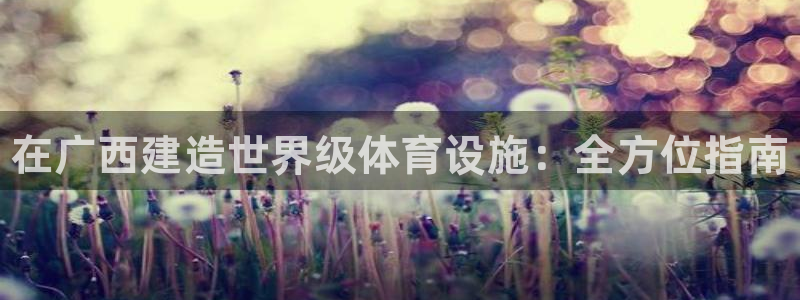 意昂3娱乐平台：在广西建造世界级体育设施：全方位指南 