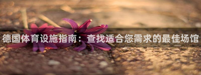 意昂体育3平台是正规平台吗安全吗：德国体育设施指南：