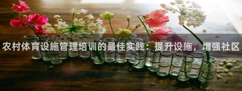 意昂3代理：农村体育设施管理培训的最佳实践：提升设施，增强社