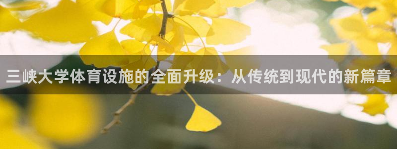 意昂体育3平台是正规平台吗安全吗