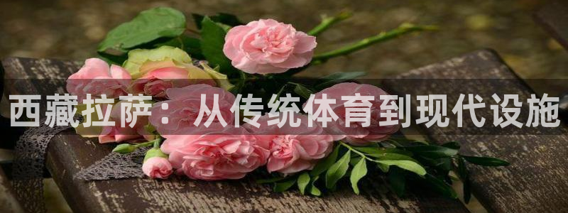 意昂体育3招商电话是多少啊：西藏拉萨：从传统体育到现代设施