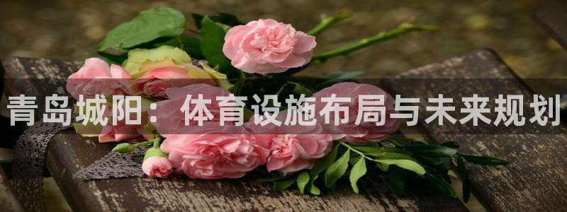 意昂体育3招商电话是多少：青岛城阳：体育设施布局与未来规划 