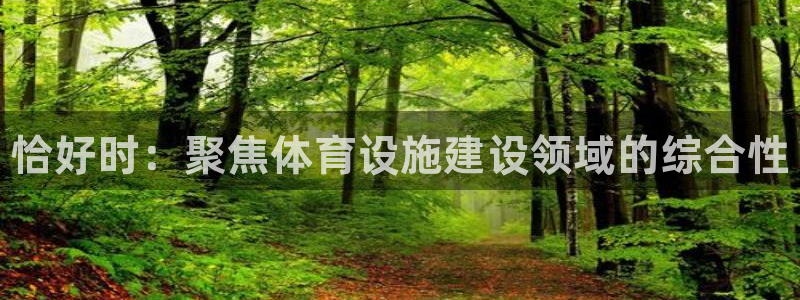 意昂3娱乐首页网站大全：恰好时：聚焦体育设施建设领域的综合性