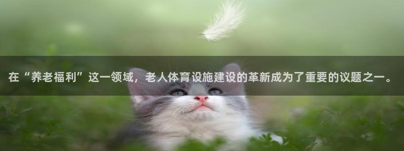 意昂3官网：在“养老福利”这一领域，老人体育设施建设的革新成