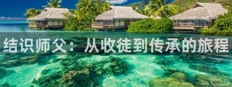 平民影院理论片：结识师父：从收徒到传承的旅程