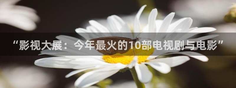 平民影院观看：“影视大展：今年最火的10部电视剧与电影”