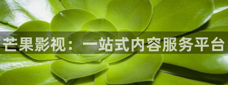 p平民影院：芒果影视：一站式内容服务平台