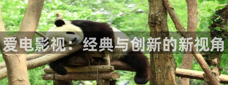 平民私人影院：爱电影视：经典与创新的新视角