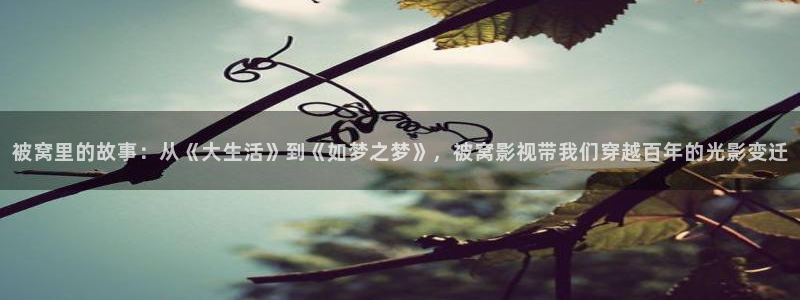平民影院观看：被窝里的故事：从《大生活》到《如梦之梦》，被窝影视带我们穿越百年的光影变迁