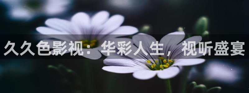 平民影院妈妈的朋友：久久色影视：华彩人生，视听盛宴